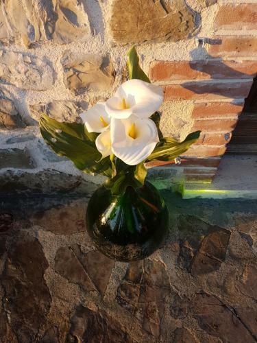 Agroturismo Agriturismo D' Epoca La Marianella