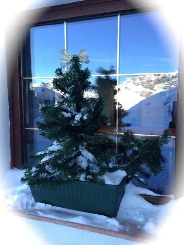 Hostal Rifugio Fedaia