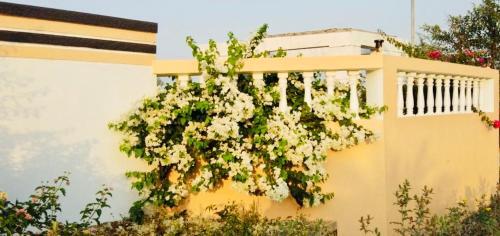 Villa Royal Meadows - Igatpuri Bungalow C