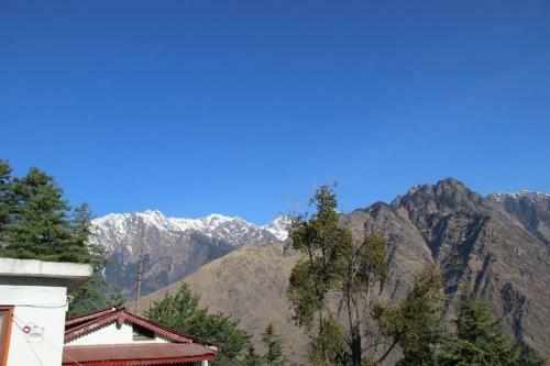 Hotel Resort With Mesmerizing Mountain Views & Pine Trees