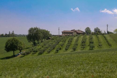 B&B Frutti Antichi
