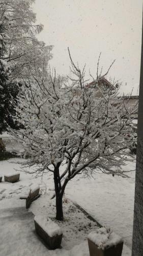 Hostal B&B Affittacamere Valchiavenna