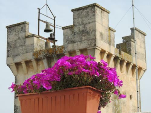 Hostal Le Fiche D?india