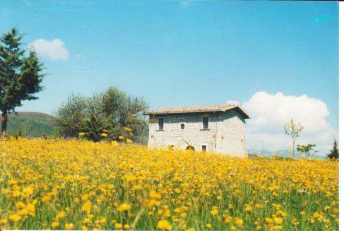 Villa Casino Tonti Iarussi