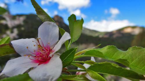 B&B Wild Sardinia