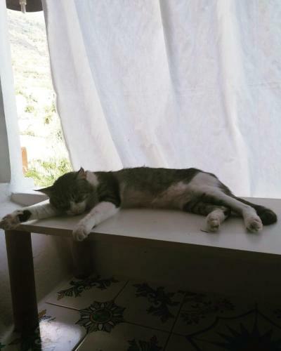 Bed & Breakfast Villino Miraglia