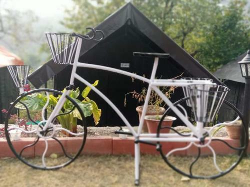 Greenlust Camps & Resorts