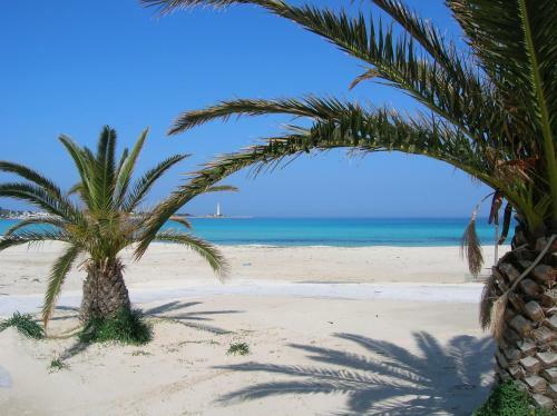 L'agave B&B Trapani Garden Paradise