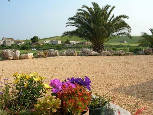 Agroturismo Agriturismo Baglio Donna Santa