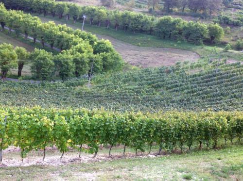 Agroturismo Tenuta Tamburnin
