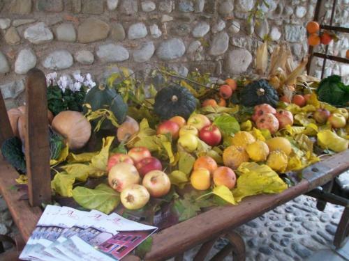 B&B Corte Alfier