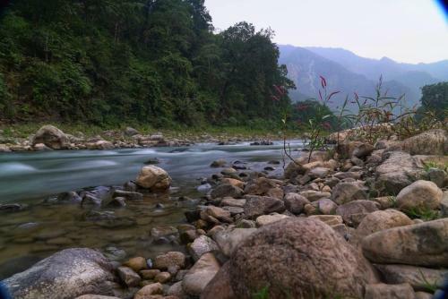 Hotel Pacific Inn Resort Rishikesh