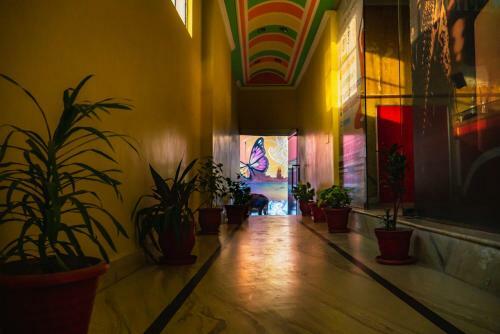 Albergue Moonlight Mowgli