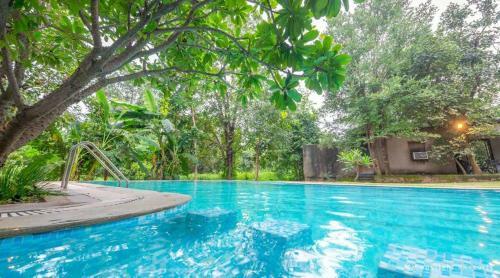 Hotel Beyond Stay Mahua Vann Pench