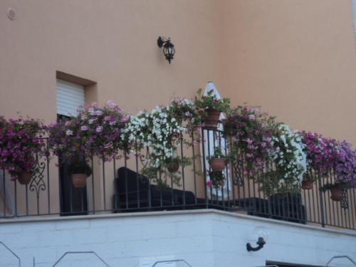 Bed & Breakfast La Casa Dei Fiori