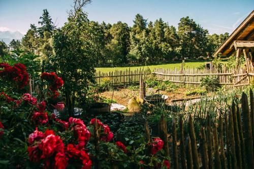 Agroturismo Wiesenhof