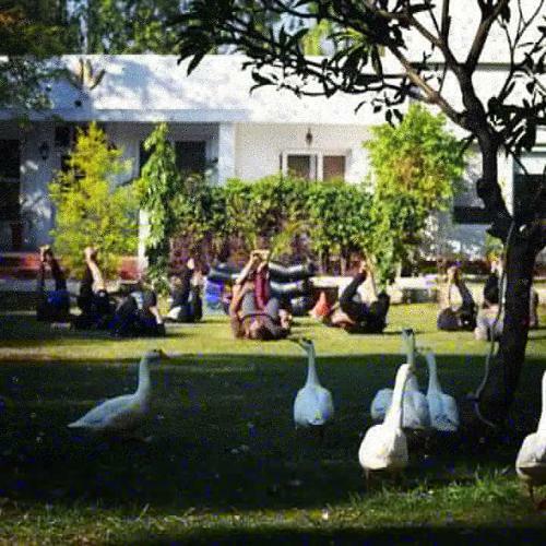 Agroturismo The Westonel