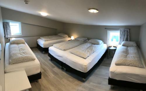 Hostal Blue Viking