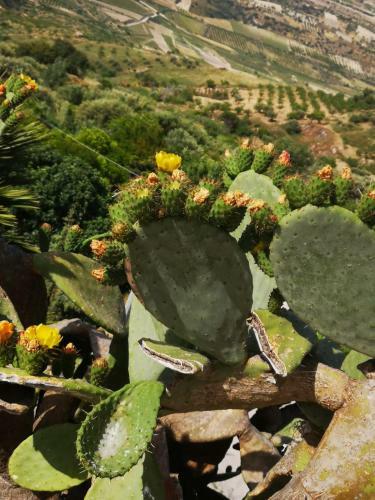 Bed & Breakfast Antico Borgo Dei Templi