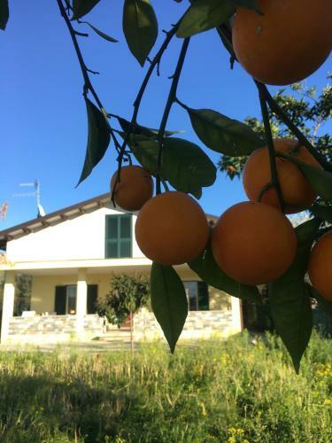 Bed & Breakfast Villa Teresa