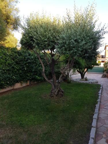 Villa Donatella With Private Pool