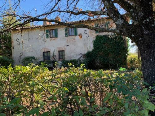 Bed & Breakfast La Volpaia