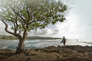 Hotel Turtle Bay Resort