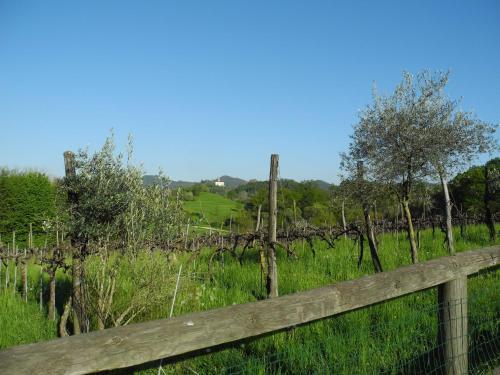 Agroturismo Agriturismo Cornolere