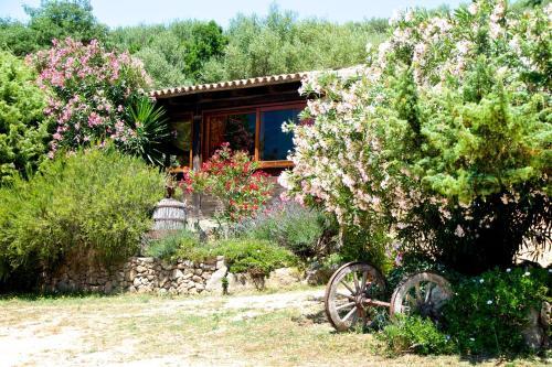 Agroturismo Agriturismo Sardo