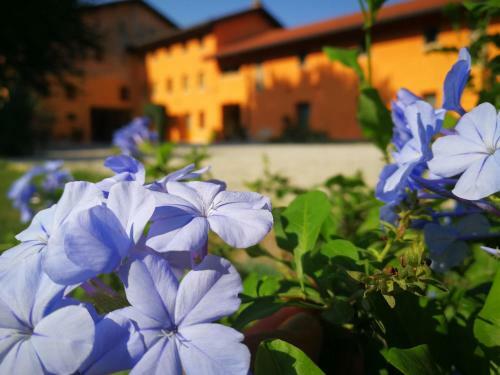 Agroturismo Al Canton Agriturismo Di Design