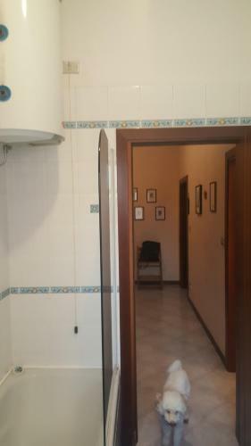 Apartamento Casa Roberta E Gilberto