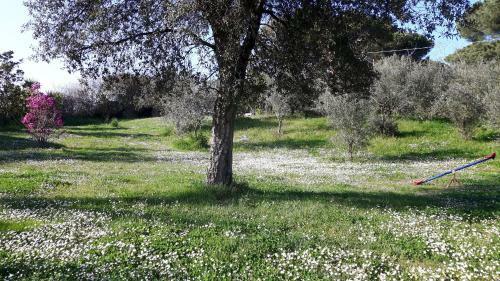 Apartamento Delizioso Miniappartamento In Villa