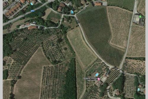 Villa Petrolo: B�ggina Country House