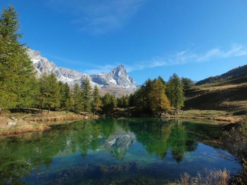 Stellar Apartment In Breuil-cervinia Near Matterhorn Peak