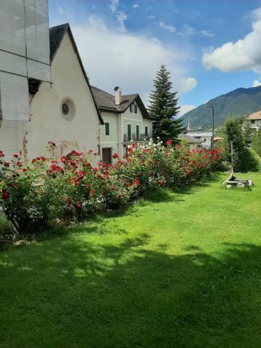 Apartamento Appartamento Brez