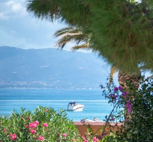 Le Palmette Suites B&B