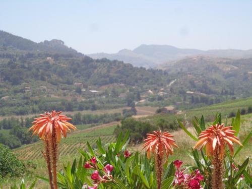 Bed & Breakfast Eden Di Segesta