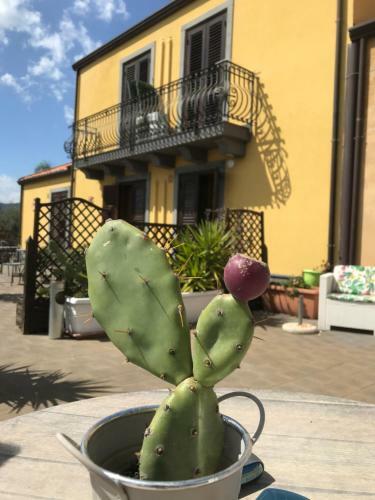 Agroturismo Agriturismo Serra San Biagio