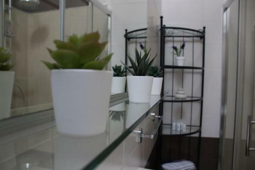 Bed & Breakfast Momy Home