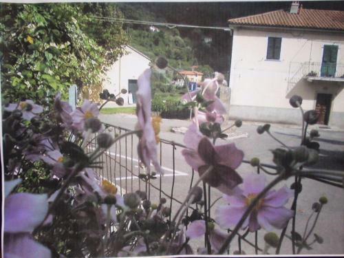 Apartamento All'ombra Del Castello