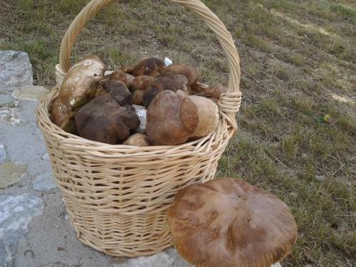 Agroturismo La Locanda Del Poeta