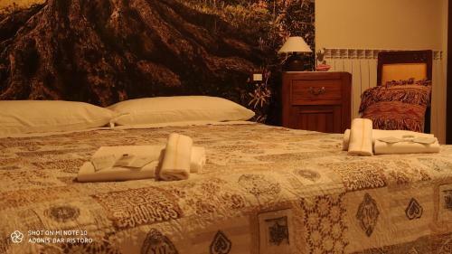 Hostal Affittacamere Adonis