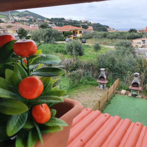 Apartamento Appartamento Il Trifoglio - Solo Affitti Brevi
