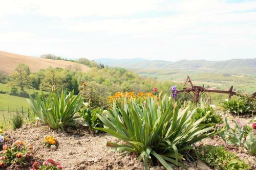 Agroturismo Agriturismo Il Podere
