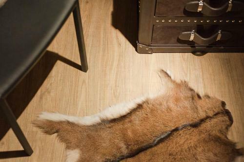 Aparthotel Burgus
