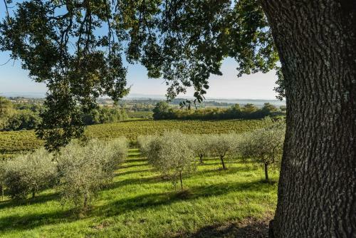 Apartamento La Casa Delle Querce