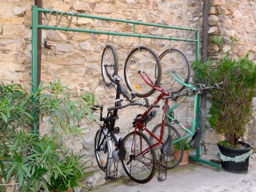 Apartamentos Locazione Turistica Daniela - Dol295