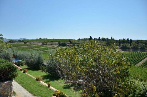 Private Chianti Villa With Private Pool, Wifi