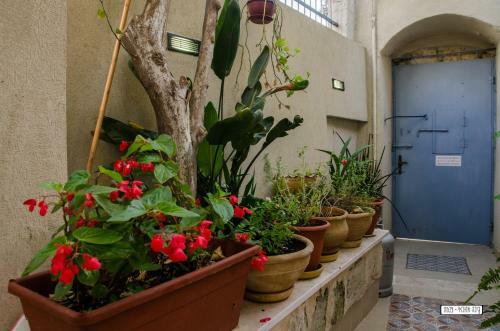Hostal Alexandra House