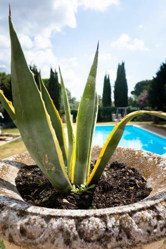 Apartamento Appartamento Villa Matone